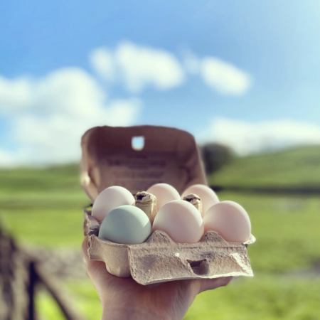 Docker Farm Duck Eggs, Half Dozen