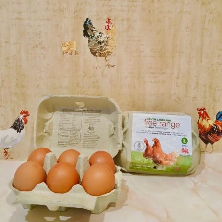 Large Eggs, Half Dozen