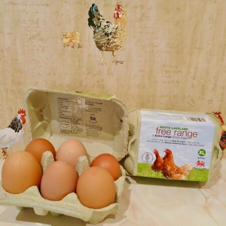 Extra Large Eggs, Half Dozen
